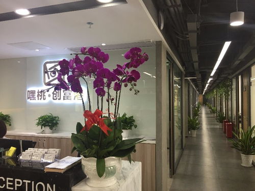 圖 全包式3人間辦公室出租,地址可注 冊公司,非中介 深圳寫字樓租售