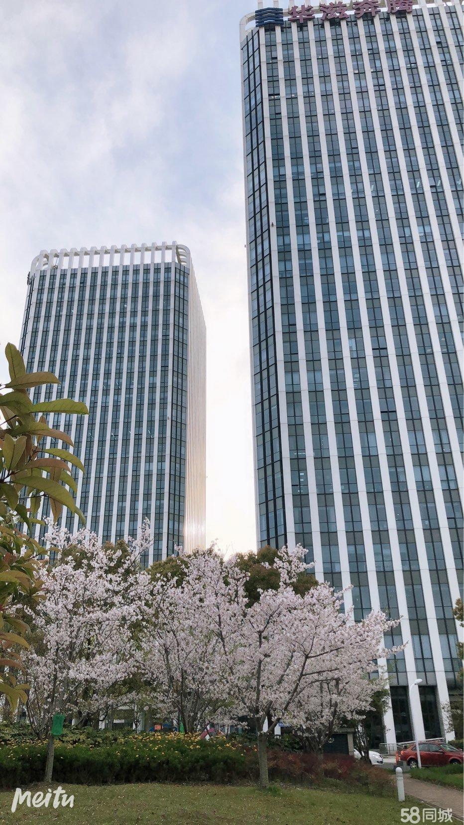 華滋奔騰大廈寫字樓出租,華滋奔騰大廈,5a甲花園寫字樓&mdash;上海寶山區辦