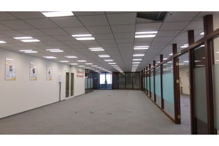 上海環球金融中心寫字樓出租