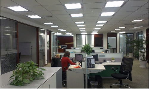 震旦國際大廈 陸家嘴核心地標，開啟卓越辦公新篇章